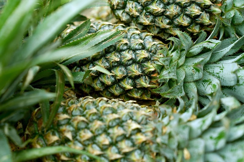 Fresh and Organic